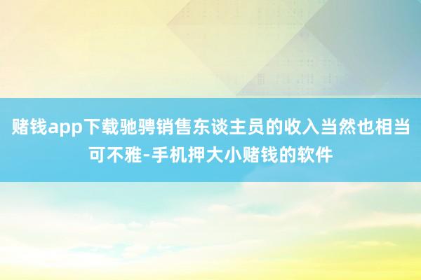 赌钱app下载驰骋销售东谈主员的收入当然也相当可不雅-手机押大小赌钱的软件