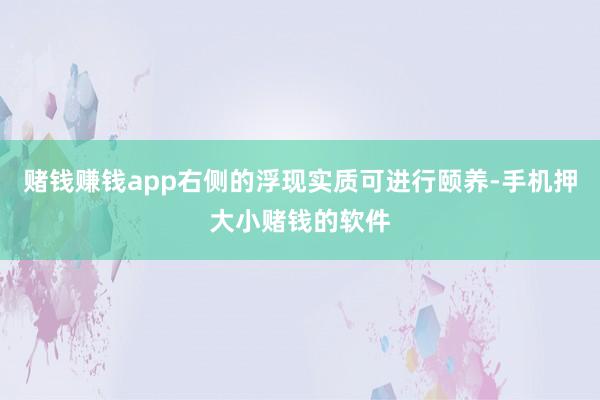 赌钱赚钱app右侧的浮现实质可进行颐养-手机押大小赌钱的软件