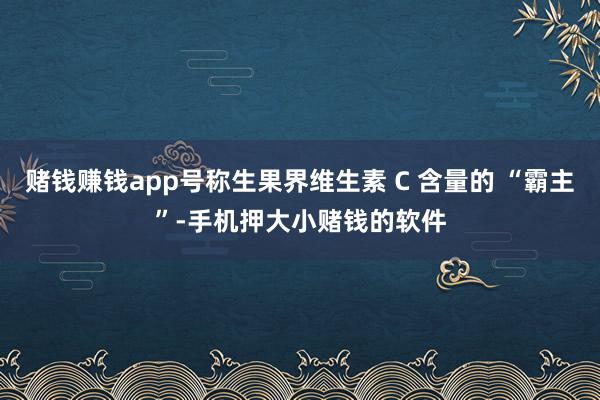 赌钱赚钱app号称生果界维生素 C 含量的 “霸主”-手机押大小赌钱的软件