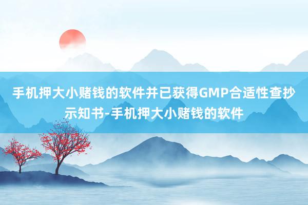 手机押大小赌钱的软件并已获得GMP合适性查抄示知书-手机押大小赌钱的软件