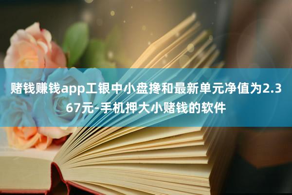 赌钱赚钱app工银中小盘搀和最新单元净值为2.367元-手机押大小赌钱的软件