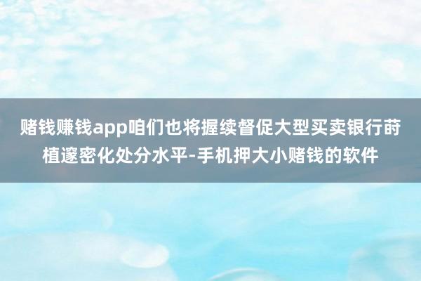 赌钱赚钱app咱们也将握续督促大型买卖银行莳植邃密化处分水平-手机押大小赌钱的软件