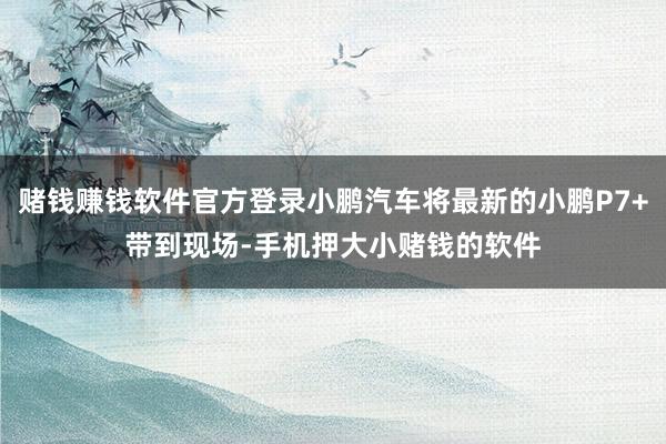 赌钱赚钱软件官方登录小鹏汽车将最新的小鹏P7+带到现场-手机押大小赌钱的软件