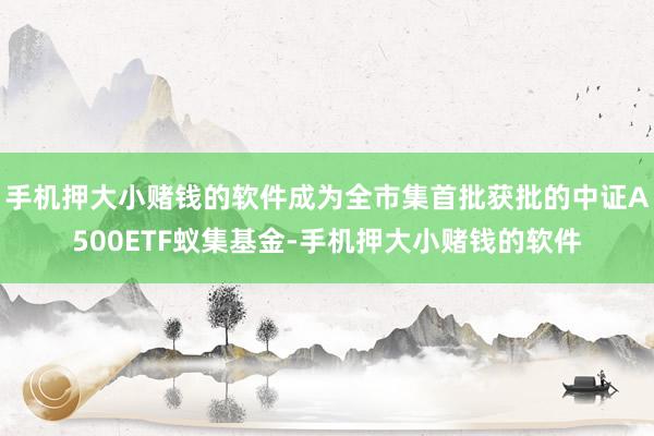 手机押大小赌钱的软件成为全市集首批获批的中证A500ETF蚁集基金-手机押大小赌钱的软件