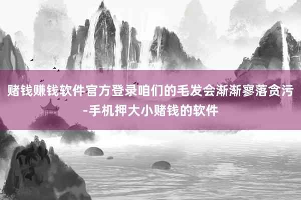 赌钱赚钱软件官方登录咱们的毛发会渐渐寥落贪污-手机押大小赌钱的软件