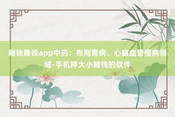 赌钱赚钱app　　中药：布局胃病、心脑血管慢病领域-手机押大小赌钱的软件