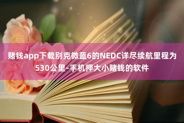 赌钱app下载别克微蓝6的NEDC详尽续航里程为530公里-手机押大小赌钱的软件