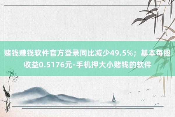 赌钱赚钱软件官方登录同比减少49.5%；基本每股收益0.5176元-手机押大小赌钱的软件