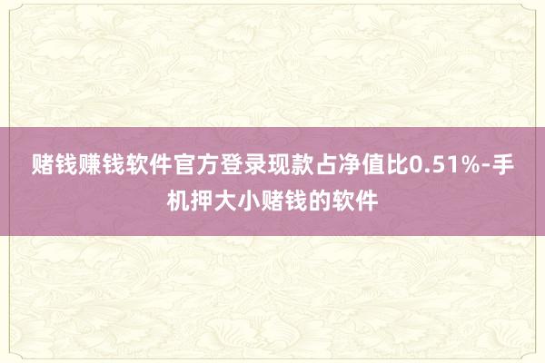 赌钱赚钱软件官方登录现款占净值比0.51%-手机押大小赌钱的软件