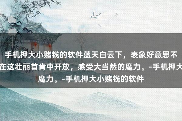 手机押大小赌钱的软件蓝天白云下，表象好意思不堪收。好格局在这壮丽首肯中开放，感受大当然的魔力。-手机押大小赌钱的软件