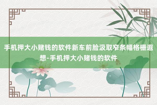 手机押大小赌钱的软件新车前脸汲取窄条幅格栅遐想-手机押大小赌钱的软件