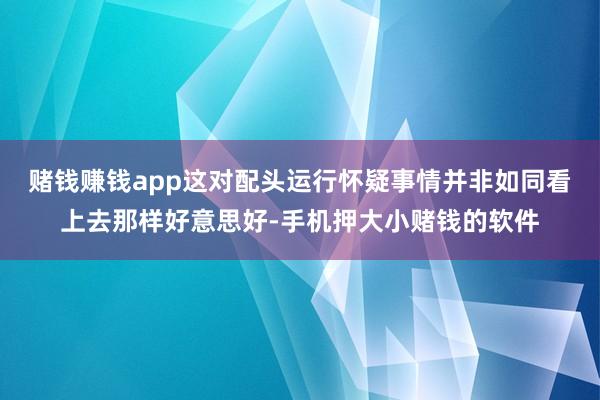 赌钱赚钱app这对配头运行怀疑事情并非如同看上去那样好意思好-手机押大小赌钱的软件