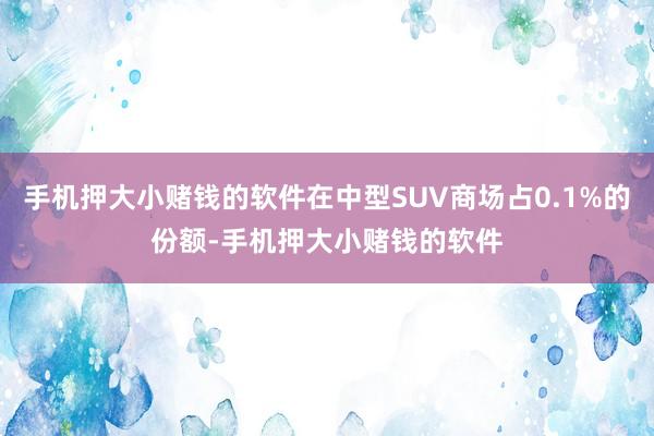 手机押大小赌钱的软件在中型SUV商场占0.1%的份额-手机押大小赌钱的软件