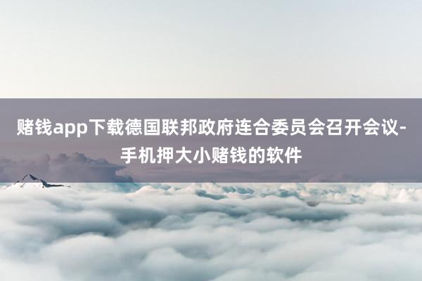 赌钱app下载德国联邦政府连合委员会召开会议-手机押大小赌钱的软件