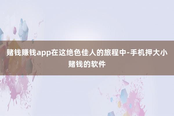 赌钱赚钱app在这绝色佳人的旅程中-手机押大小赌钱的软件