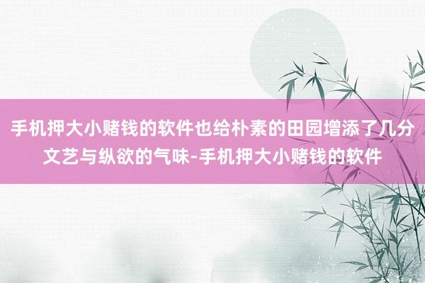 手机押大小赌钱的软件也给朴素的田园增添了几分文艺与纵欲的气味-手机押大小赌钱的软件