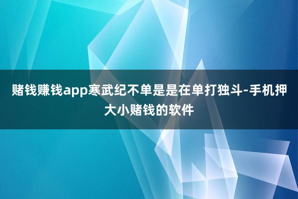 赌钱赚钱app寒武纪不单是是在单打独斗-手机押大小赌钱的软件