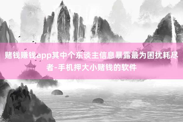 赌钱赚钱app其中个东谈主信息暴露最为困扰耗尽者-手机押大小赌钱的软件